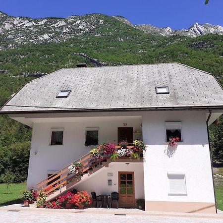 Apartma Pod Rozem Soča Exterior foto