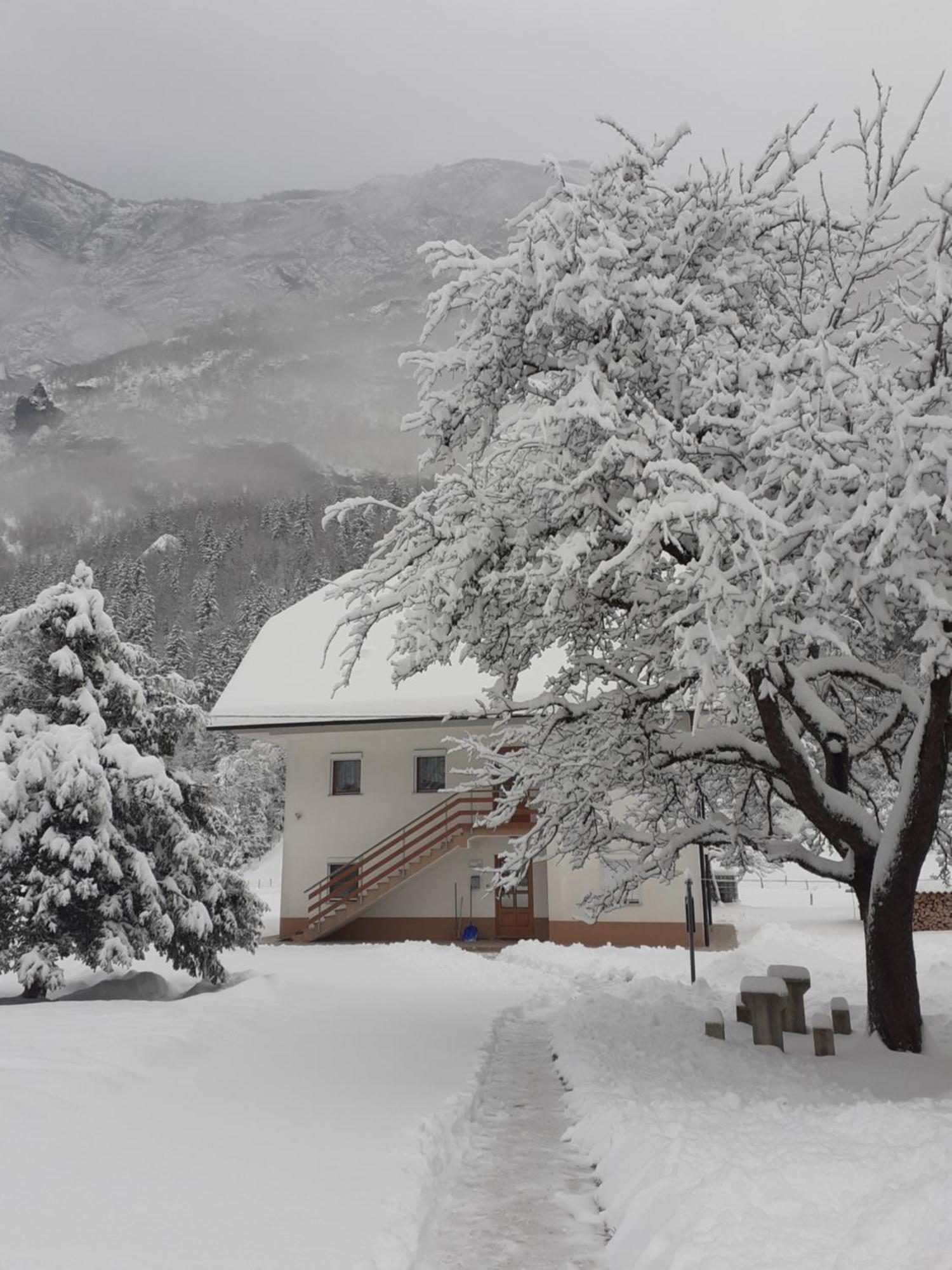 Apartma Pod Rozem Soča Exterior foto
