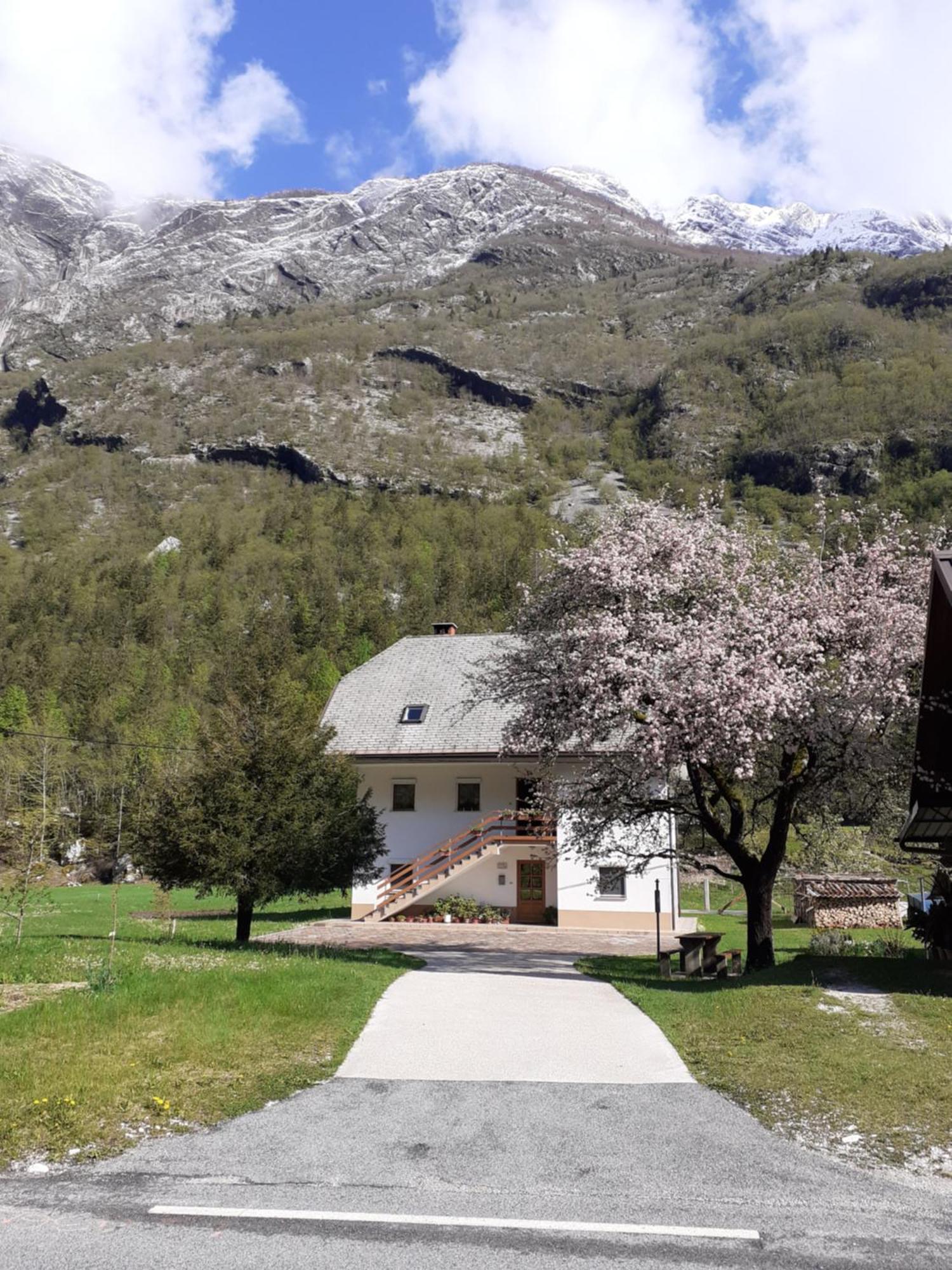 Apartma Pod Rozem Soča Exterior foto