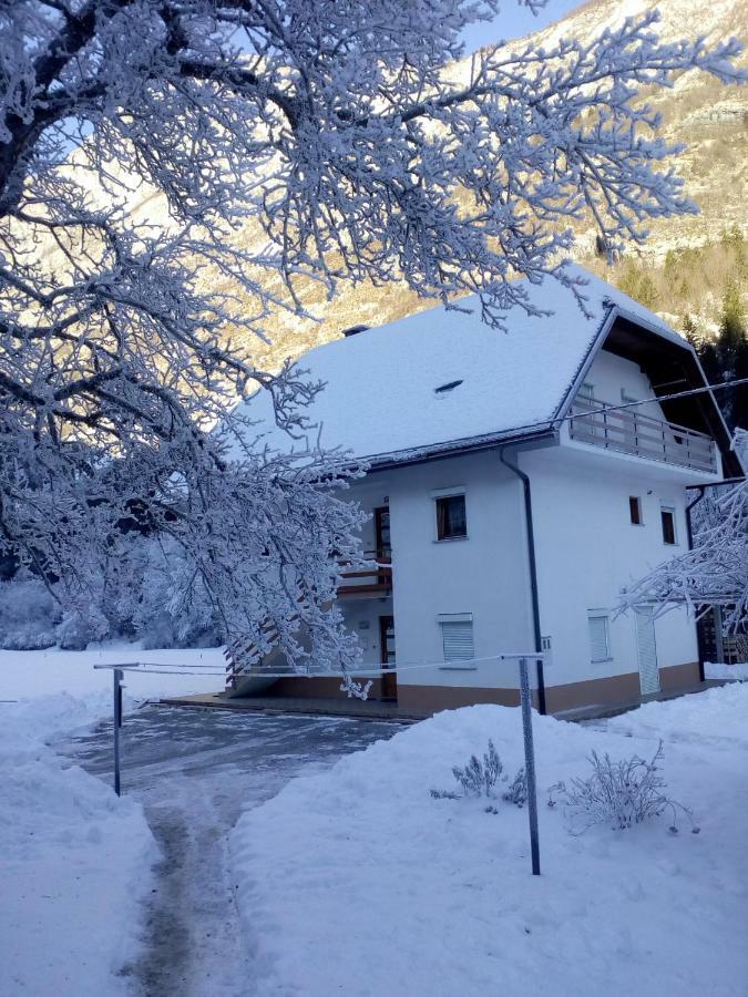Apartma Pod Rozem Soča Exterior foto