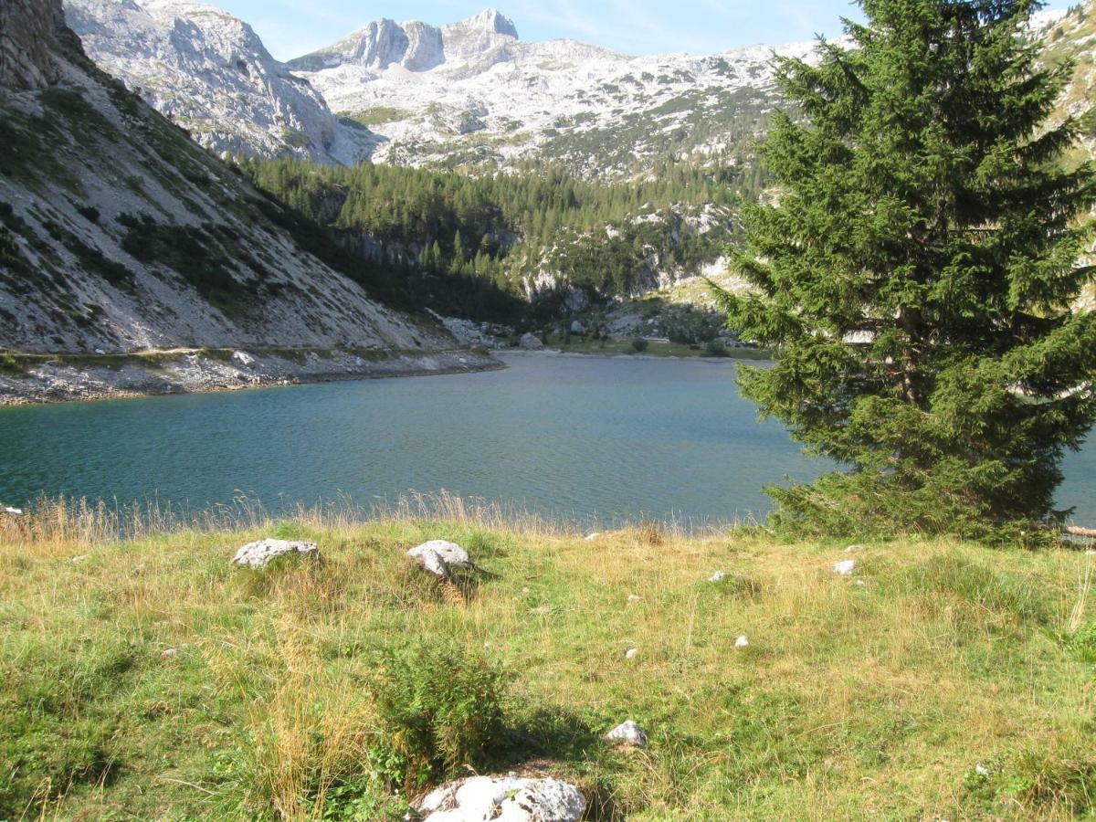 Apartma Pod Rozem Soča Exterior foto