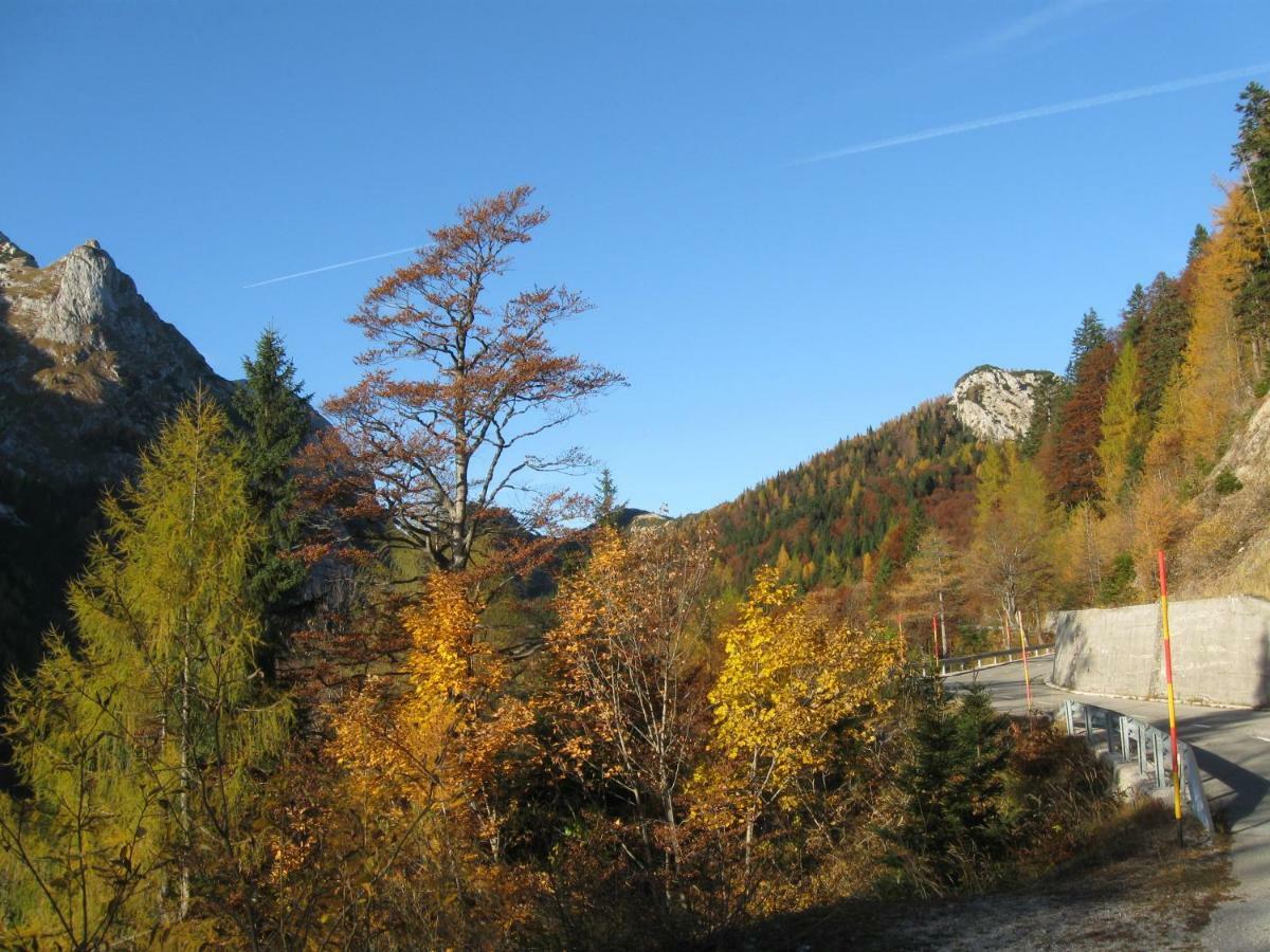 Apartma Pod Rozem Soča Exterior foto